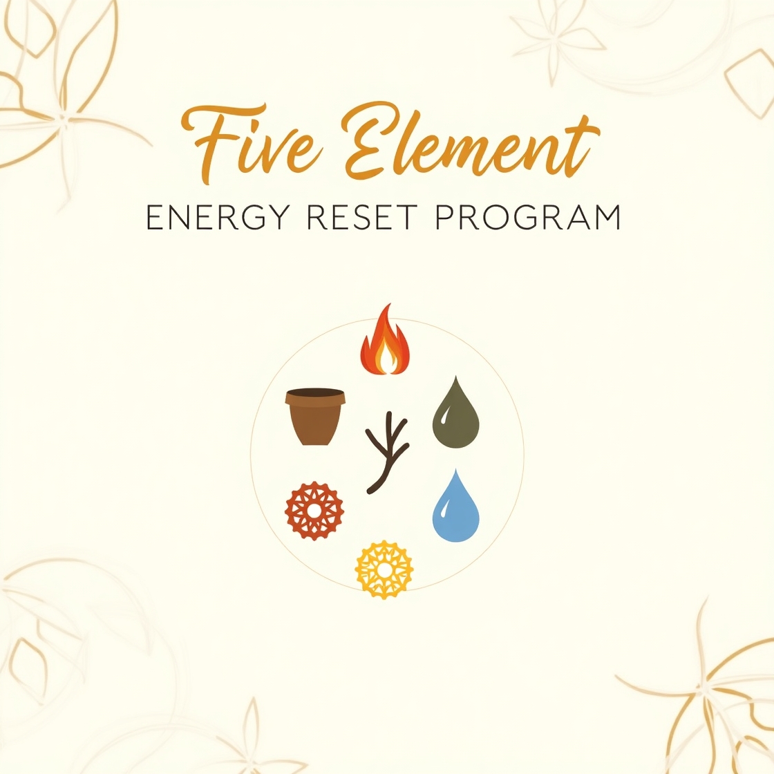 Five Element Energy Reset Program